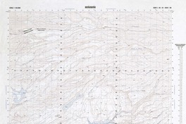 Miñimiñi (19°00' - 69°30') [material cartográfico] : Instituto Geográfico Militar de Chile.