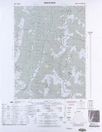 Baños de Chihuío (40° 00' - 71° 45')  [material cartográfico] preparado y publicado por el Instituto Geográfico Militar.