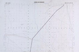 Cerro Los Dorados 24°45' - 69°45' [material cartográfico] : Instituto Geográfico Militar de Chile.