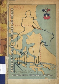 Carta caminera de la Patagonia  [material cartográfico] editado por el Instituto Geográfico Militar.