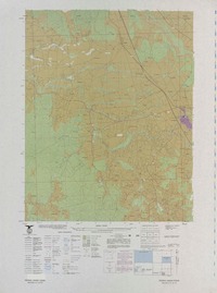 Pidima 380000- 722230 [material cartográfico] : Instituto Geográfico Militar de Chile.