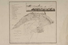 Plan of Bushier in the Persian Gulph  [material cartográfico] by Cap. David Simmons.