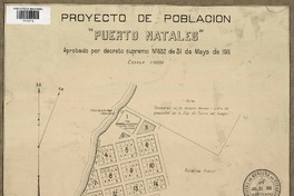 Proyecto de población "Puerto Natales" aprobado por Decreto Supremo N° 832 de 31 de mayo de 1911. [material cartográfico] :