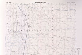 Pampa Blanca Lidia  [material cartográfico] Instituto Geográfico Militar.