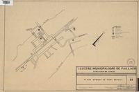 Plano Urbano de Pichi Ropulli  [material cartográfico] Ilustre Municipalidad de Paillaco Dirección de Obras.