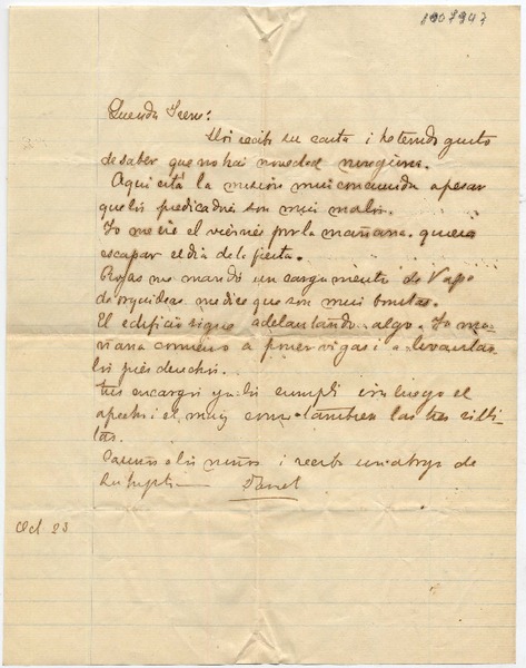 [Carta] [1895?] Oct[ubre] 23, [Malloa?] Querida Irene