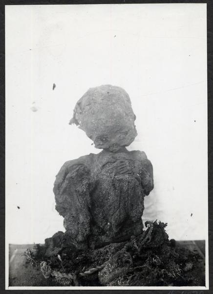 [Album Museo de Historia Natural de Concepción: Sección de Antropología; Momia de niño de Arica, primeros años de la época colonial]