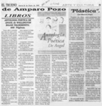 Antología poética de Angol de Wellington Rojas Valdebenito