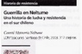 Guerrilla en Neltume : una historia de lucha y resistencia en el sur chileno
