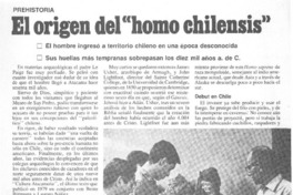 El origen del "homo chilensis"