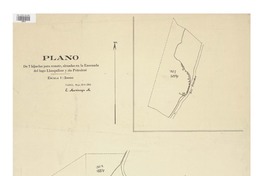 Plano de 7 hijuelas para remate, situadas en la Ensenada del lago Llanquihue y río Petrohué.  [material cartográfico]