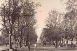[Alameda de las Delicias : perspectiva de una calle con árboles y personas, actualmente es la Avenida Libertador General Bernardo O'Higgins]
