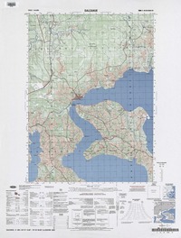 Dalcahue (42°15'14.60"-73°30'09.80") [material cartográfico] : Instituto Geográfico Militar de Chile.