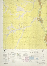 Nantoco 273000 - 701500 [material cartográfico] : Instituto Geográfico Militar de Chile.