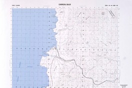 Carrizal Bajo  [material cartográfico] Instituto Geográfico Militar.