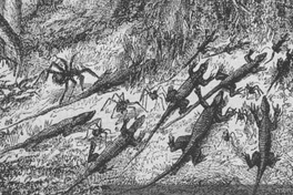 Invasión de hormigas en la selva brasileña, hacia 1830