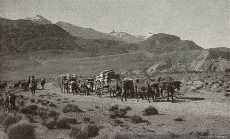 Carretas de viaje en el valle Chacabuco, Aysén, hacia 1935