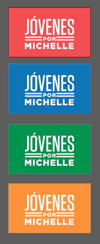 [Cuatro banderas de la campaña presidencial de Michelle Bachelet]