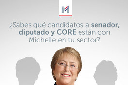 ¿Sabes qué candidatos a senador, diputados y CORE están con Michelle en tu sector?