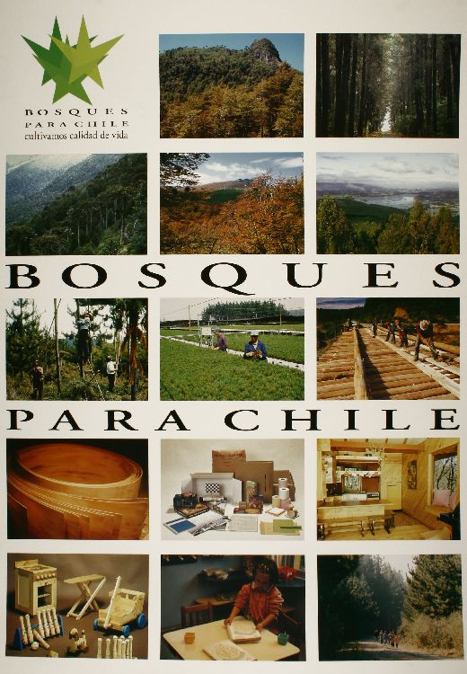 Bosques para Chile cultivamos calidad de vida.