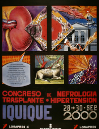 Congreso de nefrología, transplante, hipertensión Iquiqe 28-30 sep. 2002.