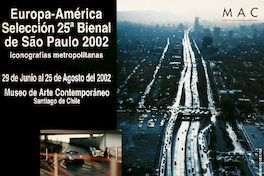 Europa-América selección 25a bienal de São Paulo 2002 iconografías metropolitanas.