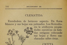 Pie de foto: Sobre la infusión de la raíz de Copihue, 1933.