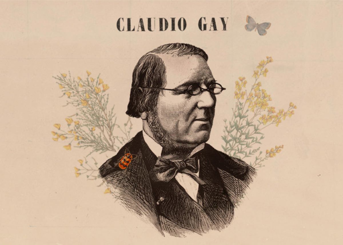 Imagen para el minisitio "El naturalista Claudio Gay" Imagen para el minisitio "El naturalista Claudio Gay"