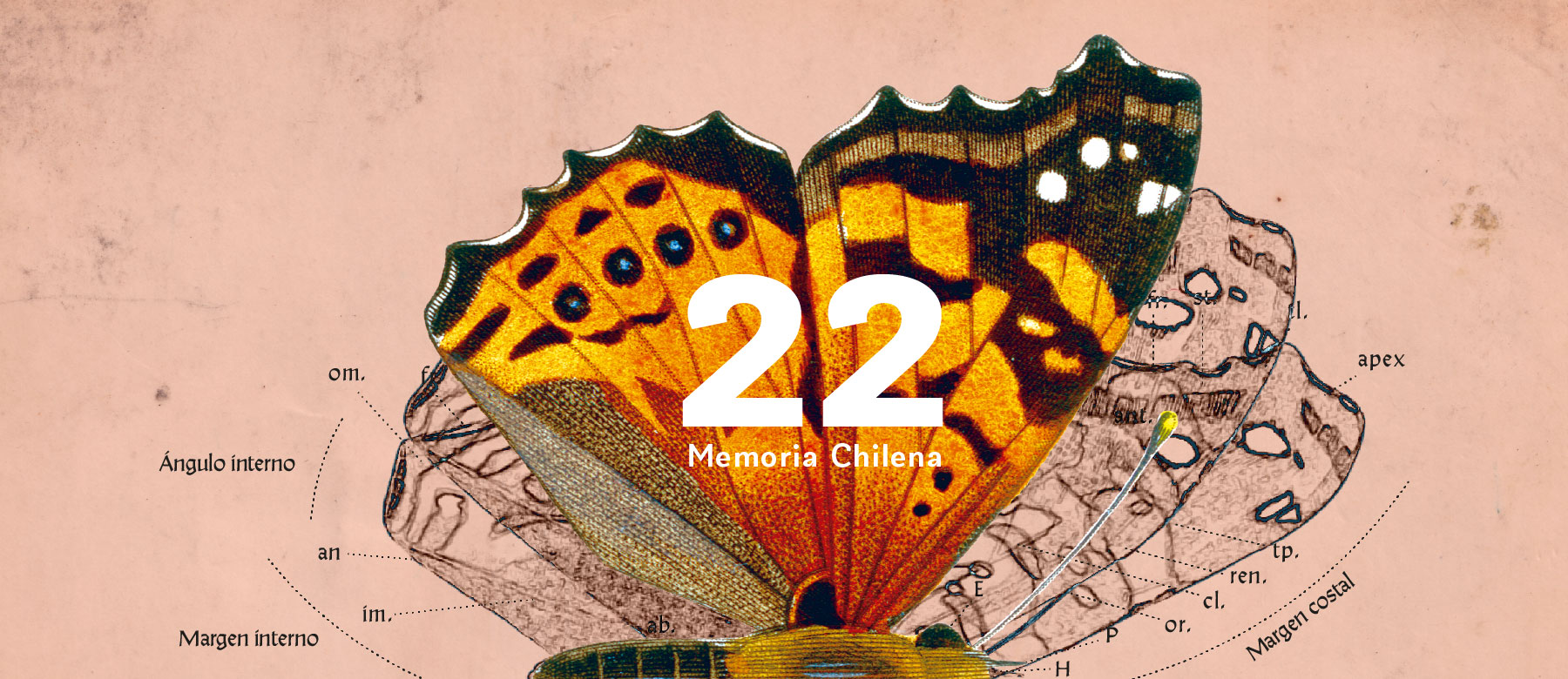 Gráfica para el 22° aniversario de Memoria Chilena Gráfica para el 22° aniversario de Memoria Chilena