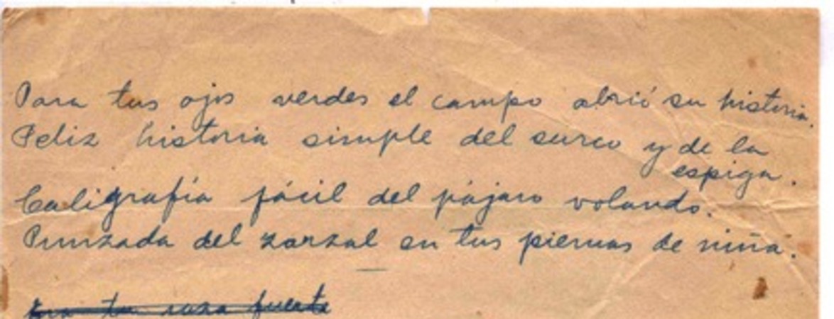[Para tus ojos verdes el campo...] :