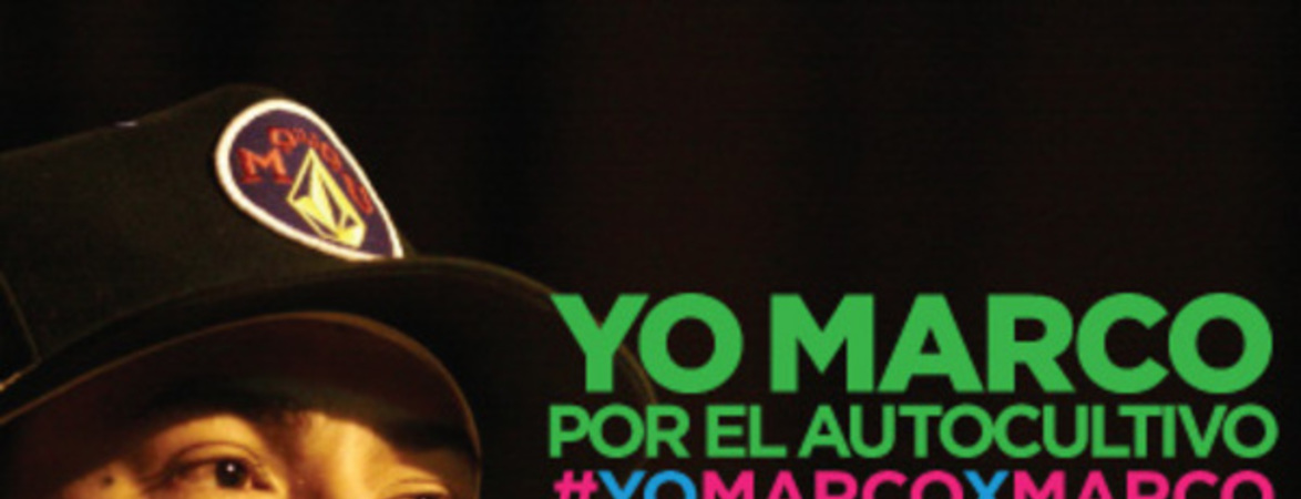 Yo Marco por el autocultivo #YoMarcoxMarco.