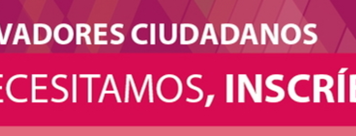 Observadores ciudadanos