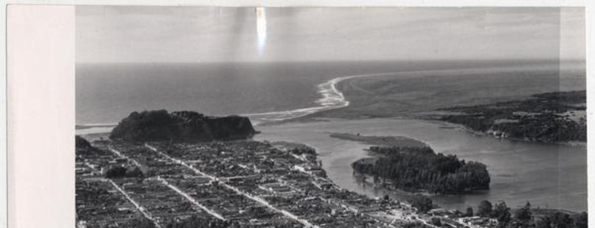 [Panorámica de la costa de Constitución]