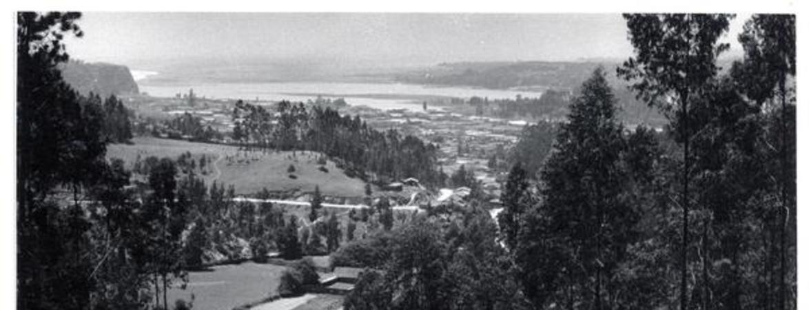 [Panorámica de la costa de Constitución]
