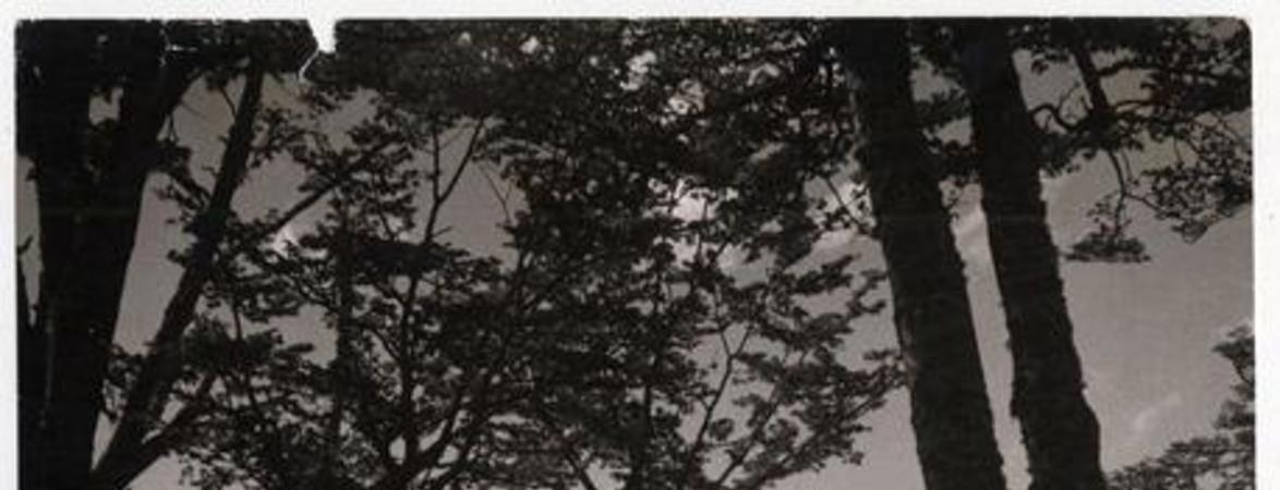 Alrededores de Puerto Williams, Isla Navarino Canal Beagle