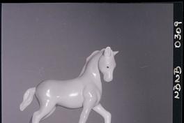 [Caballito]