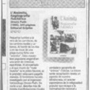 L'Animita, hagiografia folclórica  [artículo] Lina Meruane.