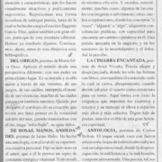 Zona azul  [artículo] Carlos René Ibacache I.