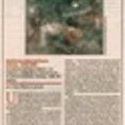 Viaje poético por las nuevas generaciones