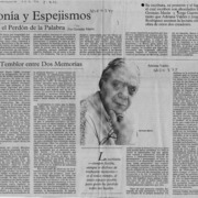 Ironía y espejismos  [artículo] Germán Marín.