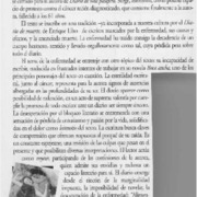 Diario de una pasajera  [artículo] Andrea Kottow.