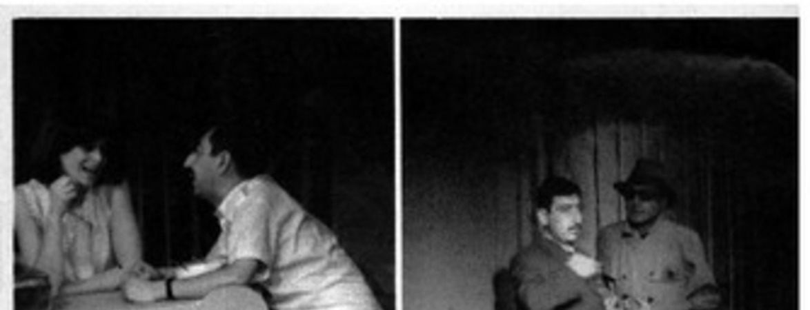 Vargas Llosa, bien adaptado
