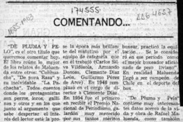 Comentando --  [artículo] Amparo Pozo.