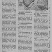 "No soy representante de mi raza, pertenezco a ella"  [artículo] Guillermo Chávez.