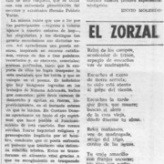 Cuatro voces  [artículo] Ennio Moltedo.