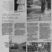 Alicia Morel en Pedro de Valdivia  [artículo] Miguel Laborde.