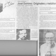 José Donoso, originales y metáforas  [artículo].