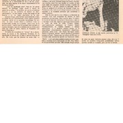 Los ochenta jóvenes años de Gonzalo Drago