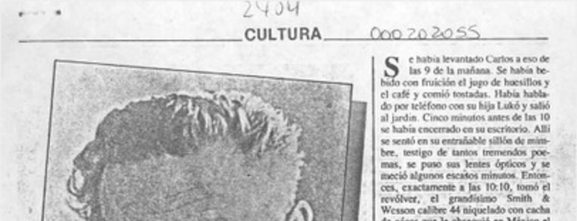 Poesía y suicidio del dinosaurio irritante