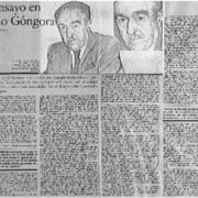 El ensayo en Mario Góngora